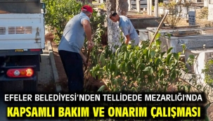 Efeler Belediyesi'nden Tellidede Mezarlığı'nda Kapsamlı Bakım Ve Onarım Çalışması