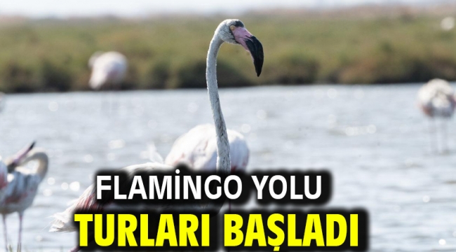 Flamingo Yolu turları başladı
