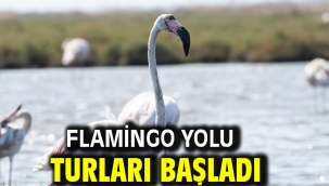 Flamingo Yolu turları başladı