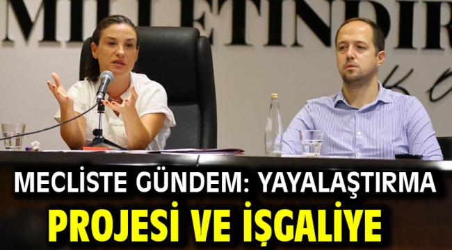 Mecliste Gündem: Yayalaştırma Projesi Ve İşgaliye