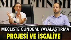 Mecliste Gündem: Yayalaştırma Projesi Ve İşgaliye