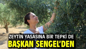 Zeytin Yasasına Bir Tepki de Başkan Sengel'den