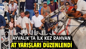 Ayvalık'ta İlk Kez Rahvan At Yarışları Düzenlendi