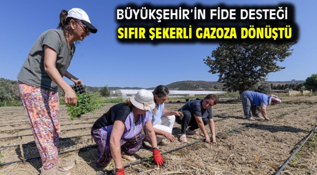 Büyükşehir'in fide desteği sıfır şekerli gazoza dönüştü  