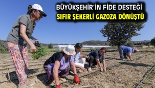 Büyükşehir'in fide desteği sıfır şekerli gazoza dönüştü  