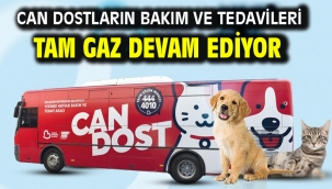 Can dostların bakım ve tedavileri tam gaz devam ediyor