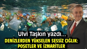 Denizlerden Yükselen Sessiz Çığlık: Poşetler ve İzmaritler