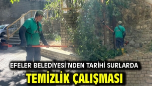 Efeler Belediyesi'nden Tarihi Surlarda Temizlik Çalışması