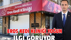 Eros Kedi Kliniği yoğun ilgi görüyor