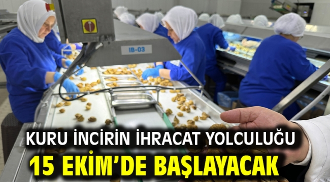 Kuru incirin ihracat yolculuğu 15 Ekim'de başlayacak