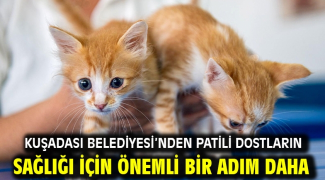 KUŞADASI BELEDİYESİ'NDEN PATİLİ DOSTLARIN SAĞLIĞI İÇİN ÖNEMLİ BİR ADIM DAHA