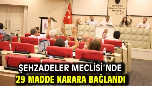 Şehzadeler Meclisi'nde 29 Madde Karara Bağlandı