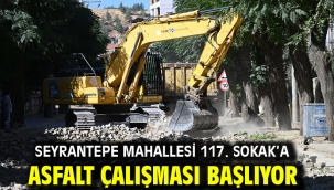 Seyrantepe Mahallesi 117. Sokak'a Asfalt Çalışması Başlıyor