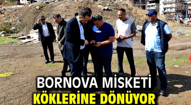 Bornova Misketi köklerine dönüyor