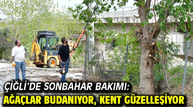Çiğli'de sonbahar bakımı: Ağaçlar budanıyor, kent güzelleşiyor