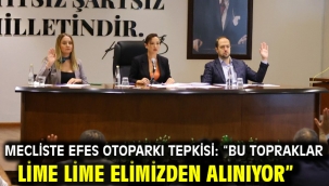Mecliste Efes Otoparkı tepkisi: "Bu topraklar lime lime elimizden alınıyor"