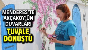 Menderes'te Akçaköy'ün duvarları tuvale dönüştü