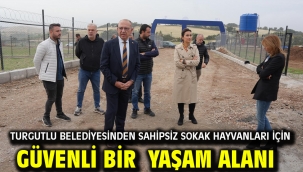 Turgutlu Belediyesinden Sahipsiz Sokak Hayvanları İçin Güvenli Bir  Yaşam Alanı