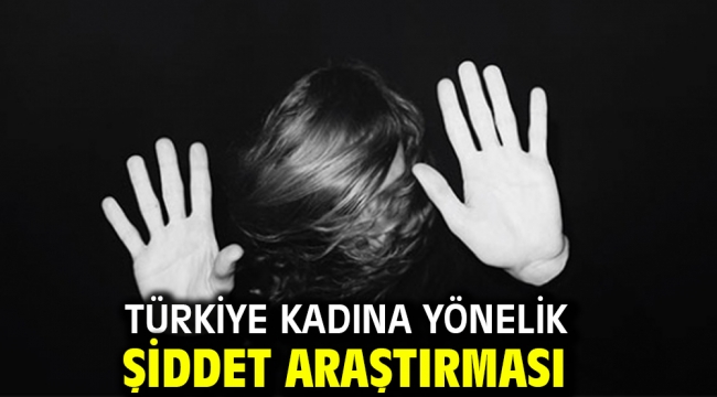 Türkiye Kadına Yönelik Şiddet Araştırması