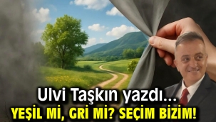 Yeşil mi, Gri mi? Seçim Bizim!