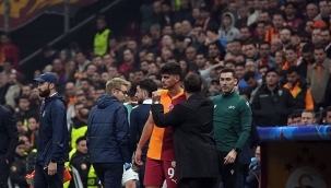 Aslan'da bek sancısı