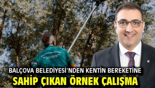 Balçova Belediyesi'nden Kentin Bereketine Sahip Çıkan Örnek Çalışma