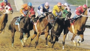 Altılı ganyan 213.523 lira verdi