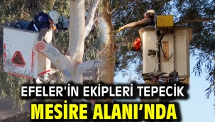Efeler'in Ekipleri Tepecik Mesire Alanı'nda