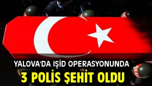 Yalova'da IŞİD operasyonunda 3 polis şehit oldu