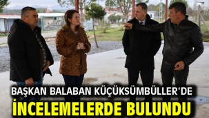 Başkan Balaban Küçüksümbüller'de İncelemelerde Bulundu