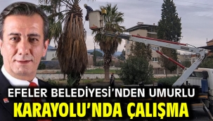 Efeler Belediyesi'nden Umurlu Karayolu'nda Çalışma