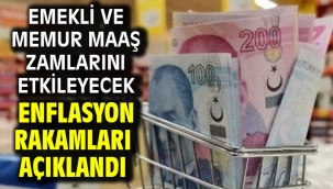 Emekli ve memur maaş zamlarını etkileyecek enflasyon rakamları açıklandı