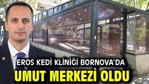 Eros Kedi Kliniği Bornova'da umut merkezi oldu