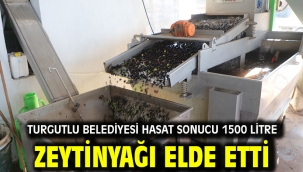 Turgutlu Belediyesi Hasat Sonucu 1500 Litre Zeytinyağı Elde Etti