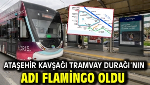 Ataşehir Kavşağı Tramvay Durağı'nın adı Flamingo oldu