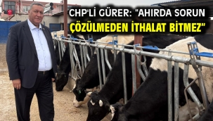 CHP'li Gürer: "Ahırda sorun çözülmeden ithalat bitmez"