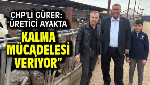 CHP'li Gürer: "Üretici Ayakta Kalma Mücadelesi Veriyor"