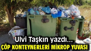 Çöp Konteynerleri Mikrop Yuvası