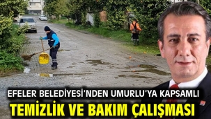 Efeler Belediyesi'nden Umurlu'ya Kapsamlı Temizlik Ve Bakım Çalışması