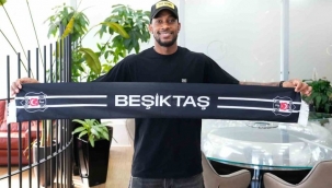 Kara kartal bombaladı