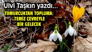 Tomurcuktan Topluma: Temiz Çevreyle Büyüyen Bir Gelecek