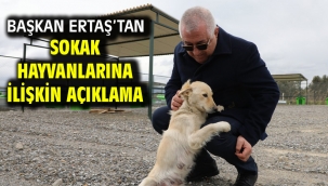 Başkan Ertaş'tan sokak hayvanlarına ilişkin açıklama