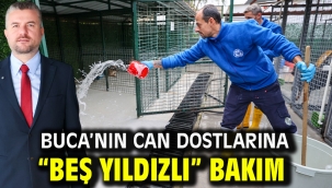 Buca'nın can dostlarına "beş yıldızlı" bakım