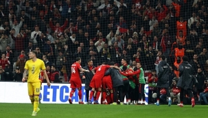 Harikasınız çocuklar!