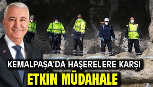 Kemalpaşa'da Haşerelere Karşı Etkin Müdahale
