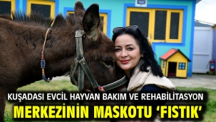 KUŞADASI EVCİL HAYVAN BAKIM VE REHABİLİTASYON MERKEZİNİN MASKOTU 'FISTIK'