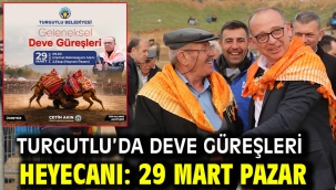 Turgutlu'da Deve Güreşleri Heyecanı: 29 Mart Pazar