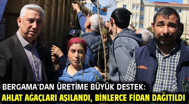 Bergama'dan Üretime Büyük Destek: Ahlat Ağaçları Aşılandı, Binlerce Fidan Dağıtıldı