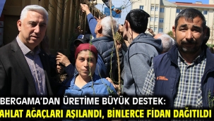 Bergama'dan Üretime Büyük Destek: Ahlat Ağaçları Aşılandı, Binlerce Fidan Dağıtıldı