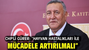 CHP'li Gürer: "Hayvan hastalıkları ile mücadele artırılmalı"  